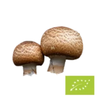 Natura Med <br>Biologische Agaricus paddenstoel poeder - 100 g