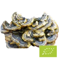 Natura Med <br>Biologische Coriolus paddenstoel poeder - 100 g
