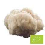 Phoenix Origin Bio Hericium Pilzpulver – 100 g