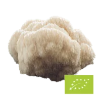 Natura Med <br>Biologische Hericium paddenstoel poeder - 100 g