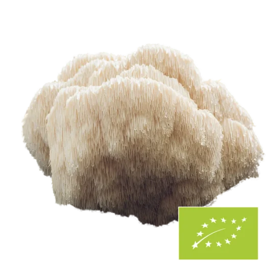Natura Med <br>Biologische Hericium paddenstoel poeder - 100 g