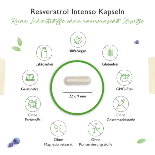 Vit4ever <br>Resveratrol - 60 capsules - Afbeelding 3