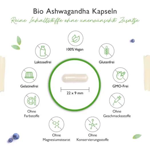 Vit4ever <br>Ashwagandha biologique - 365 gélules – Image 3