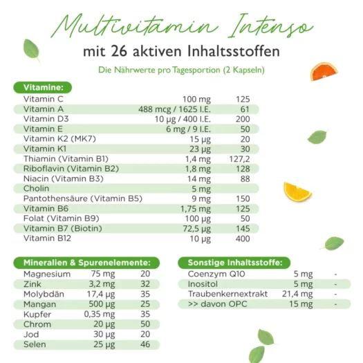 Vit4ever <br>Multivitamine Intenso - 365 capsules - Afbeelding 2