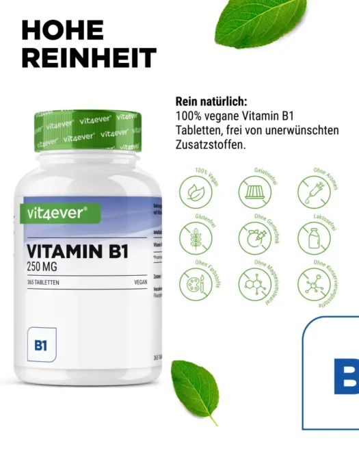 Vit4ever <br>Vitamina B1 - 365 comprimidos - Imagen 4