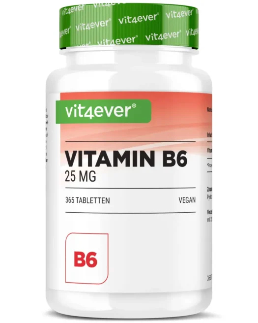 Vit4ever <br>Vitamina B6 - 365 comprimidos