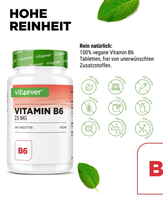 Vit4ever <br>Vitamina B6 - 365 comprimidos - Image 4