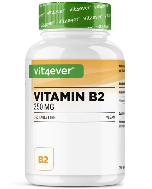 Vit4ever <br>Vitamina B2 - 365 comprimidos