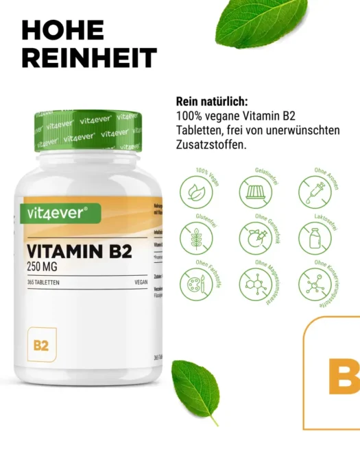 Vit4ever <br>Vitamina B2 - 365 comprimidos - Imagen 4