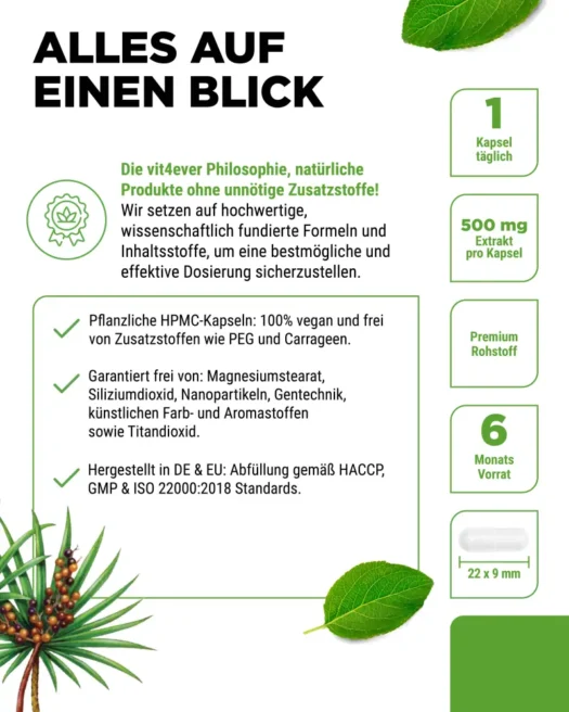 Vit4ever <br>Zegepalm-extract - 180 capsules - Afbeelding 5
