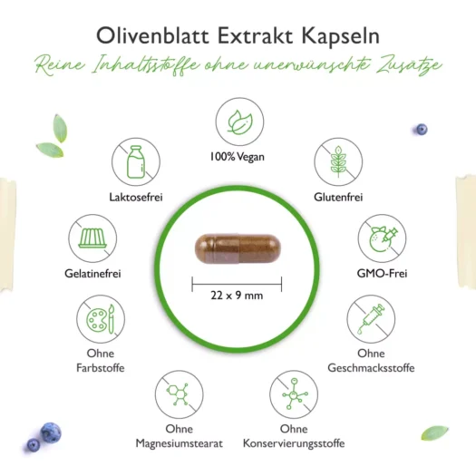 Vit4ever <br>Olijfbladextract - 180 capsules - Afbeelding 3
