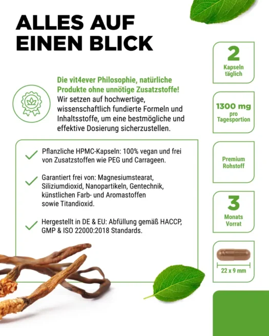 Vit4ever <br>Cordyceps Intenso Extracto - 180 cápsulas - Imagen 5