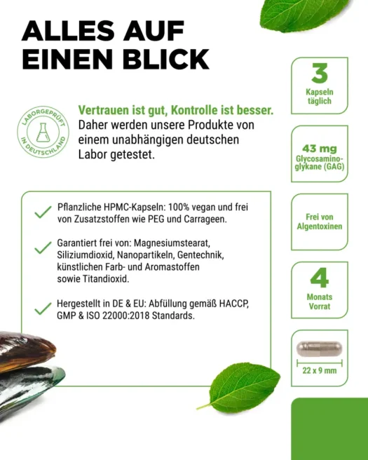 Vit4ever <br>Groenlipmossel - 365 capsules - Afbeelding 5