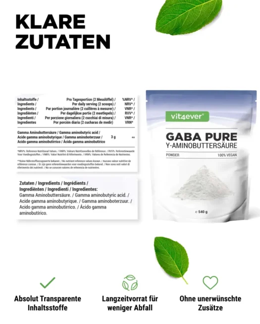 Vit4ever <br>GABA gamma-aminobutyric acid - 540 g - Image 2