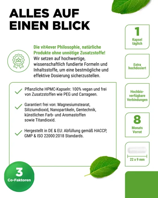 Vit4ever <br>Vitamin B Komplex Intenso - 240 Kapseln – Bild 5