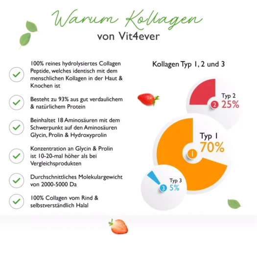 Vit4ever <br>Kollagen - 500 g – Bild 3