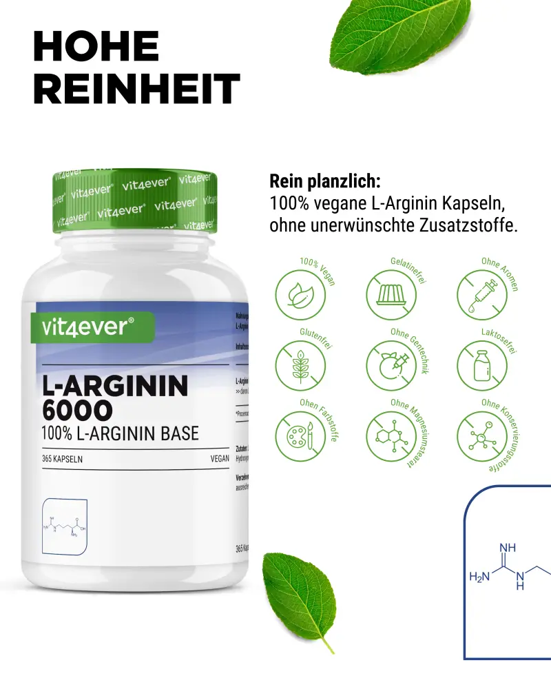 Vit4ever L-Arginine Intenso – 365 capsules – Internationales Etikett