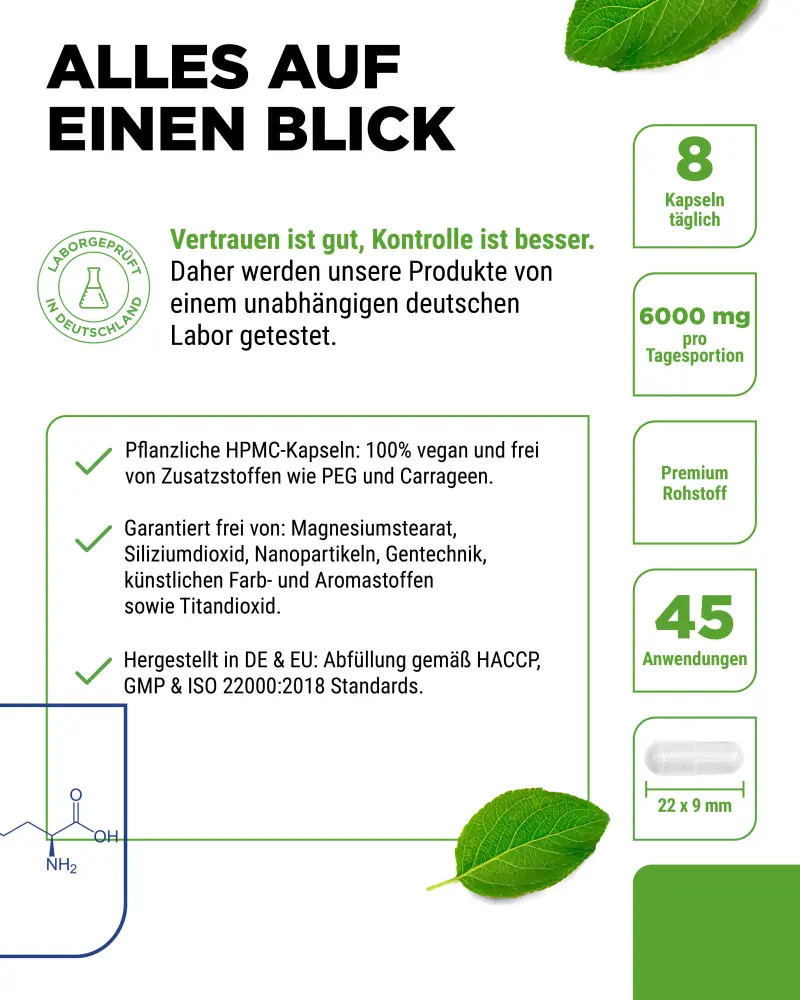 Vit4ever L-Arginine Intenso – 365 capsules – Reinheit & Eigenschaften