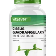 Vit4ever Cissus quadrangularis extract – 180 capsules – front